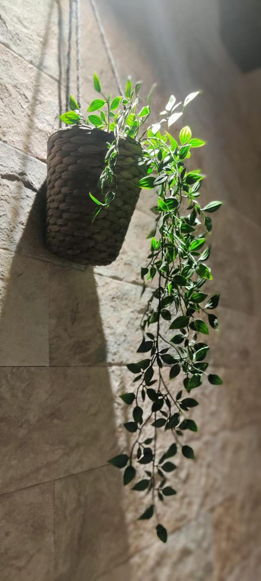 ホテル Dimora Al Saraceno フェラーラ エクステリア 写真